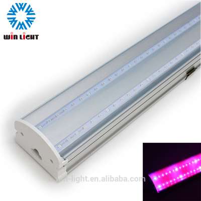 High quality new model powerful hydroponic led grow light